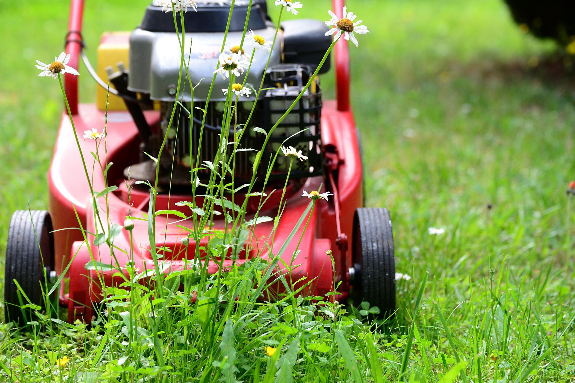 What’s The Most Common Factor When Choosing a Lawn Mower?