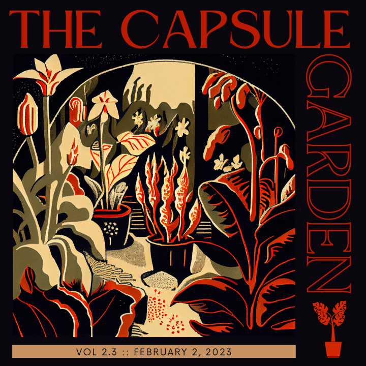 The Capsule Garden Vol 2.3: February 2, 2023